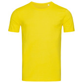 Stedman T-shirt Crewneck Morgan SS for him 101c daisy yellow L