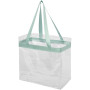 Hampton transparante draagtas 13L - Mintgroen/Transparant