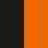 Flag - Tweekleurige Polo Black / Orange 3XL