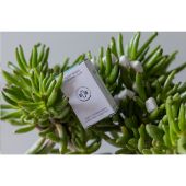 Plant Based  Chewing Gum 8pcs