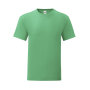 Kleuren T-Shirt Volwassene Iconic - VER - XXL