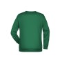 Promo Sweat Men - irish-green - 5XL