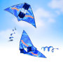 Delta Kite