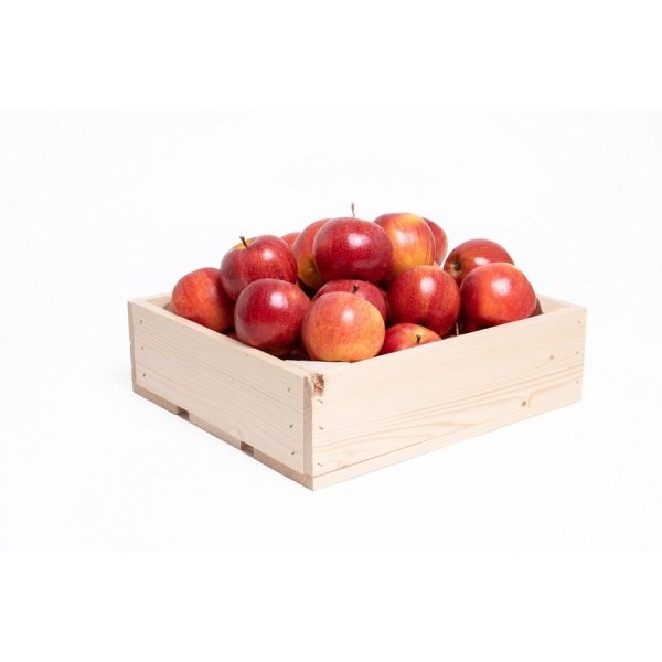 Fruitkist klein incl. 25 appels met zwarte bedrukking