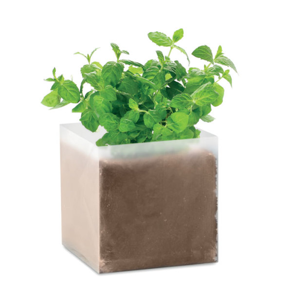 MINT - Compost with seeds 