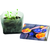 Groeiende Vierkante Eetbare Bloemen Groeiende Vierkante Eetbare Bloemen