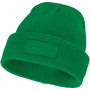 Boreas beanie with patch - Fern green