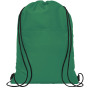 Oriole 12-can drawstring cooler bag 5L - Green