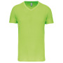 Heren-t-shirt BIO150IC V-hals Lime 3XL