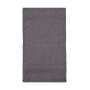 Rhine Guest Towel 30x50 cm - Grey - One Size