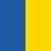 Baseballpolo Royal Blue / Yellow L