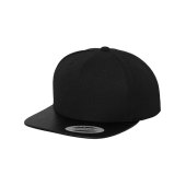 Carbon Snapback Carbon Snapback