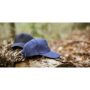 Hamar Cap Recycled Cotton pet