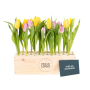 BloomsBox - Tulpen met logo en kaartje - Large