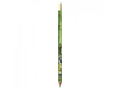 BIC® Evolution® Digital Ecolutions® BIC® Evolution® Digital Ecolutions®