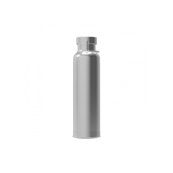 Thermo bottle Skyler 650ml - Silver