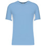 Tiger - Tweekleurig T-shirt Sky Blue / White 3XL