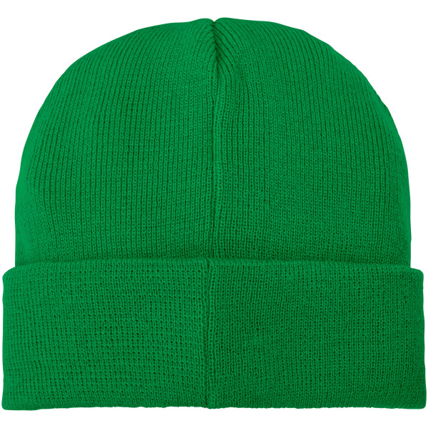 Boreas beanie with patch - Fern green