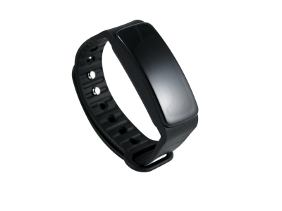 SmartBand 20013 SmartBand 20013