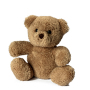 Bear Merle - beige
