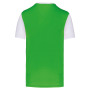 Volwassen tweekleurige jersey met korte mouwen Green / White 3XL