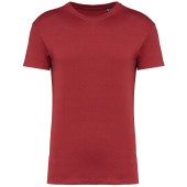 Terracotta Red