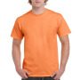 Ultra Cotton™ Classic Fit Adult T-shirt Tangerine (x72) XXL