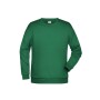 Promo Sweat Men - irish-green - 3XL
