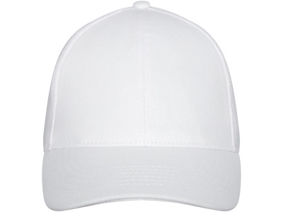 Drake 6 panel trucker-cap