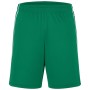 Basic Team Shorts - green/white - XXL