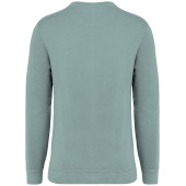 Ecologische uniseks sweater met ronde hals French Terry Washed Jade Green 4XL