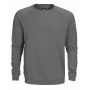 Cornell Crewneck Faded grey S