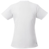 Amery cool fit V-hals dames t-shirt met korte mouwen - Wit - XS