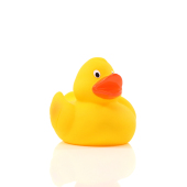 Squeaky duck classic