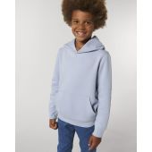Mini Cruiser - Iconische kindersweater met capuchon - 3-4