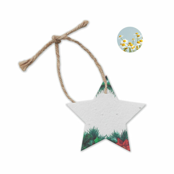 STARSEED - Seed paper Xmas ornament