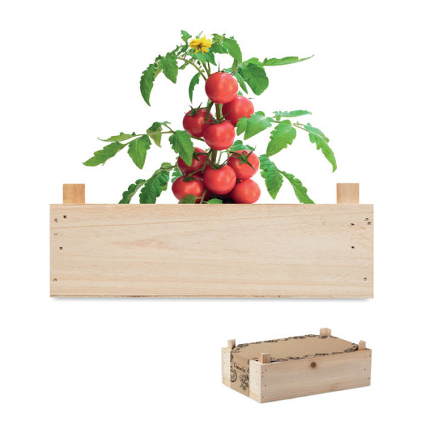 TOMATO - Set de roșii în cutie de lemn