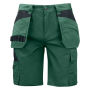 5535 Shorts Forestgreen C42