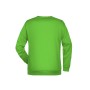 Promo Sweat Men - lime-green - 4XL
