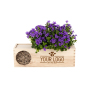 BloomsBox - Blooming Bee&B