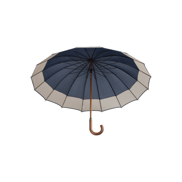Monaco - andré philippe paraplu
