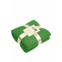 Fleece Blanket - lime-green - one size