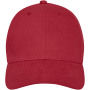 Davis 6 panel cap - Rood