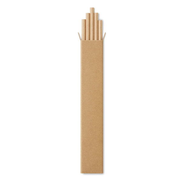 PAPER STRAW - 10 paper straws in Kraft box