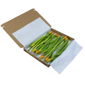 Multicolour (warm) brievenbustulpen (incl. verzendkosten)