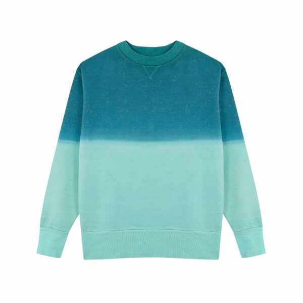 Volwassene Sweatshirt Truyi