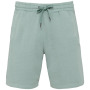 Afgewassen herenshort Terry280 Washed Jade Green 4XL