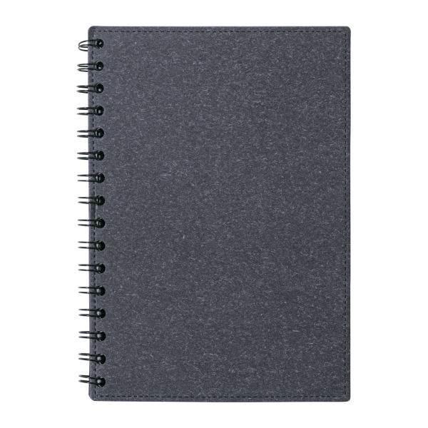 Idina - notebook