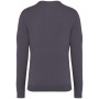 Herentrui met ronde hals Washed Cloudy Grey M