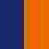 Baseballpolo Navy / Orange L